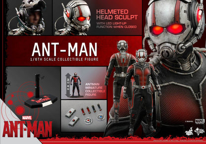 Hot Toys MMS 308 Ant-Man